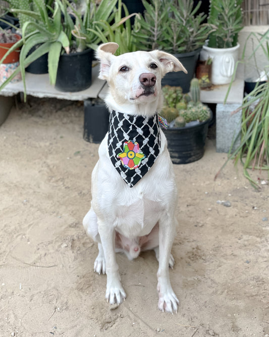 Khamsa Doggy Bandana