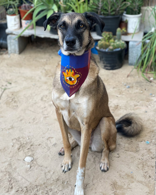 Khamsa Doggy Bandana | Blue